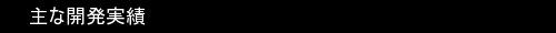 主な開発実績